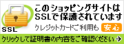 このサイトはSSLで保護されています