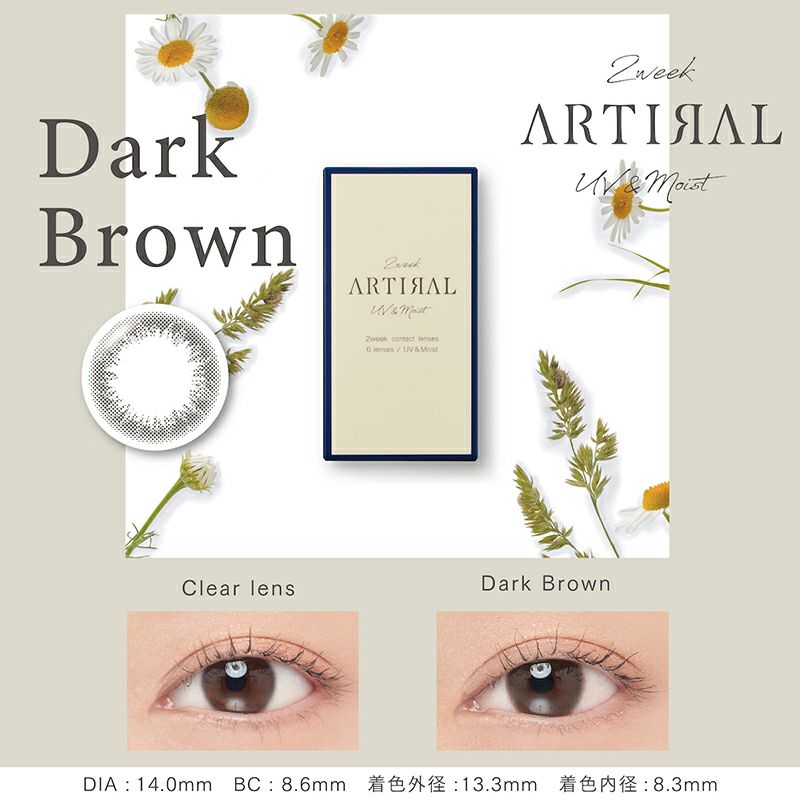 デイラルカラー★ダークブラウン★6本セット★新品未使用未開封 デイラルカラー☆ダークブラウン☆6本セット☆新品未使用未開封