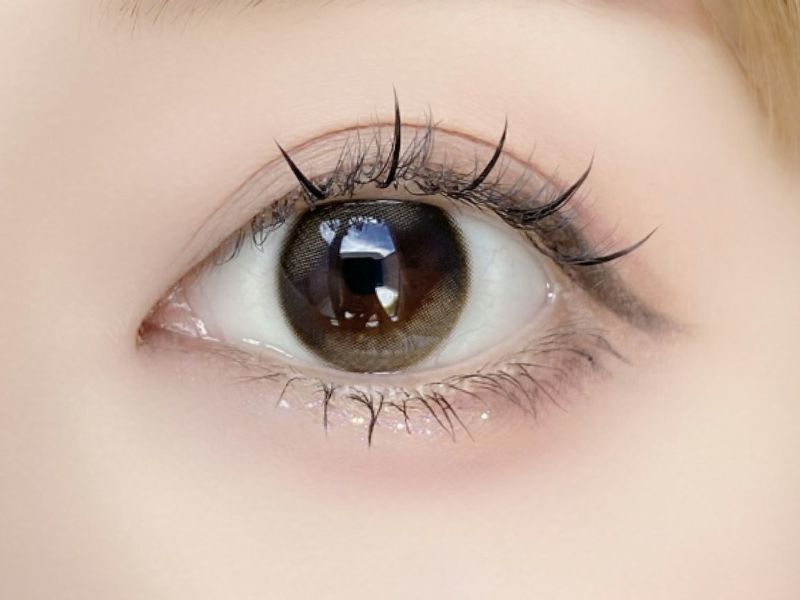 アンジョルノ マンスリー びーだまブラウン