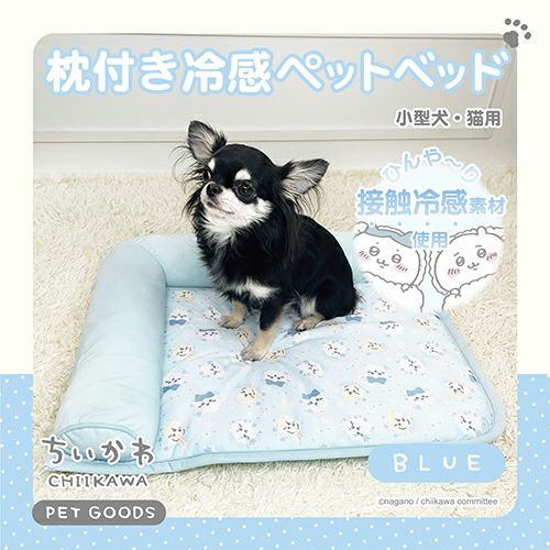 ちいかわ 枕付き冷感ペットベッド ＜BLUE＞ ベッド クッション ネコ 犬 小型犬・猫用 粧美堂 SHOBIDO CW46422 chiikawa  | 粧美堂（しょうびどう）ONLINE STORE | 公式通販