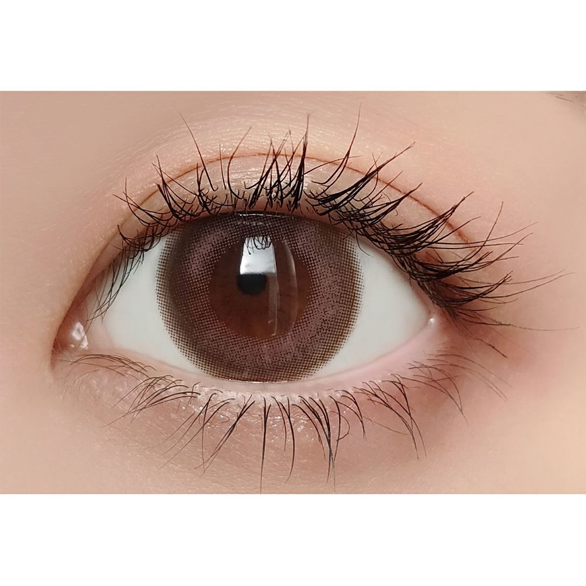 ノックノック×マイメロディ・クロミ マンスリー [きのこ] 2枚入 14.5mm