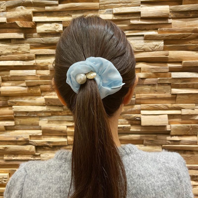 使用イメージシュシュ