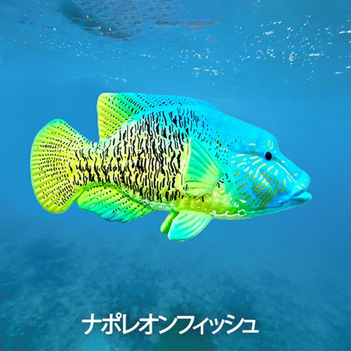 【ケース商品】【1箱/15個セット】バスボール 海の生き物 全5種類 ＜マリンの香り＞