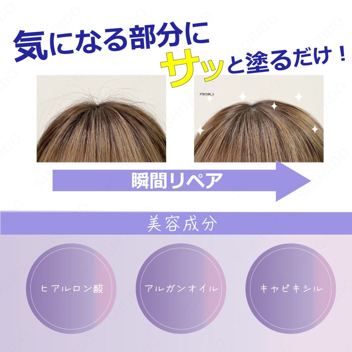 まとめ髪 ポイントフィクサー ＜ ハード ＞