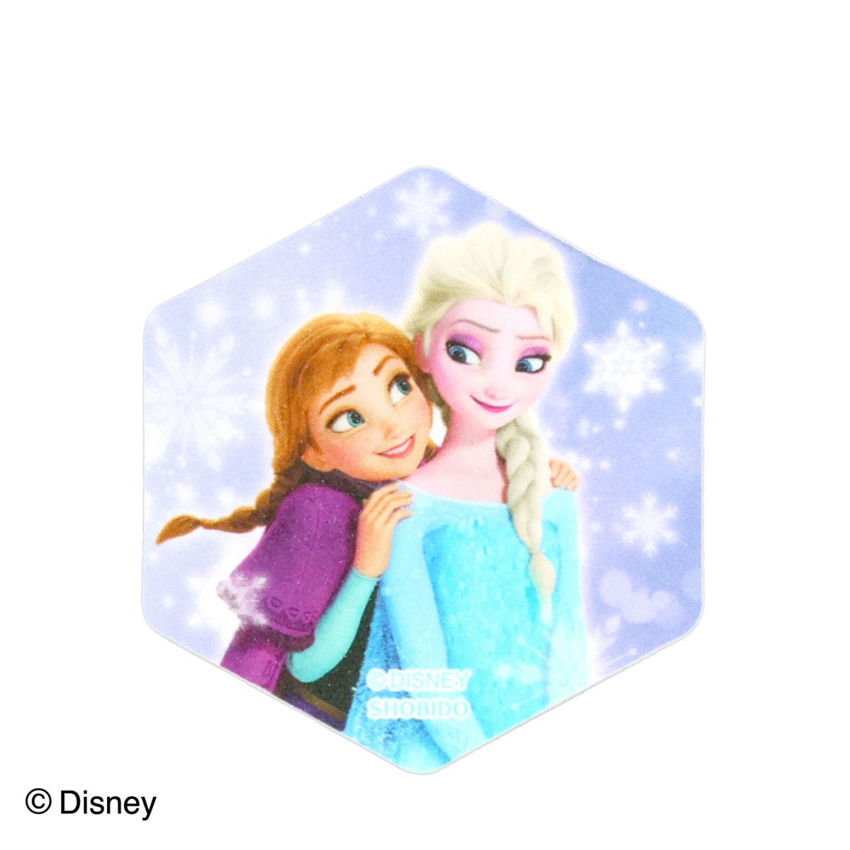 Disney ショルダーバッグコスメセット ＜ アナと雪の女王 ＞