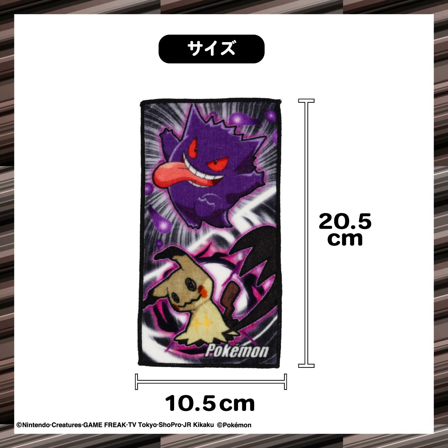 ポケモン ミニタオル2枚組 ＜A/B＞ 粧美堂 shobido