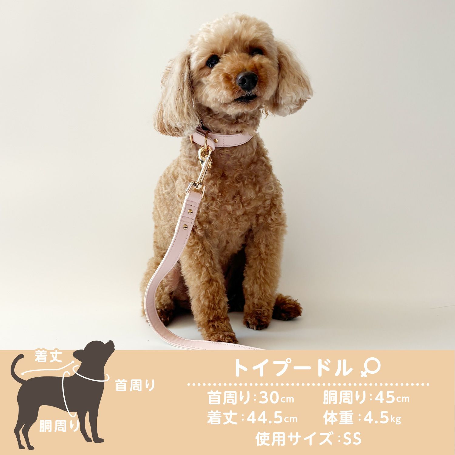 ちいかわ 小型犬用 首輪 合皮タイプ ＜ アイボリー/ピンク ＞