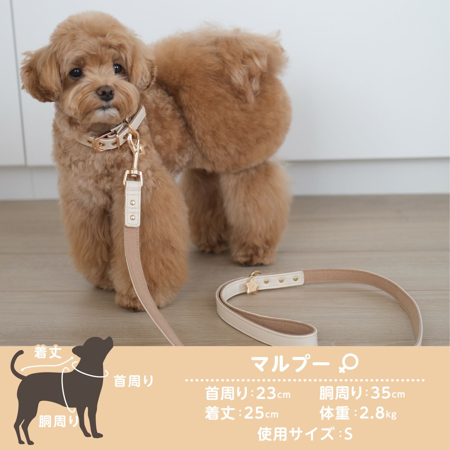 ちいかわ 小型犬用 首輪 | 粧美堂オンラインストア | 公式