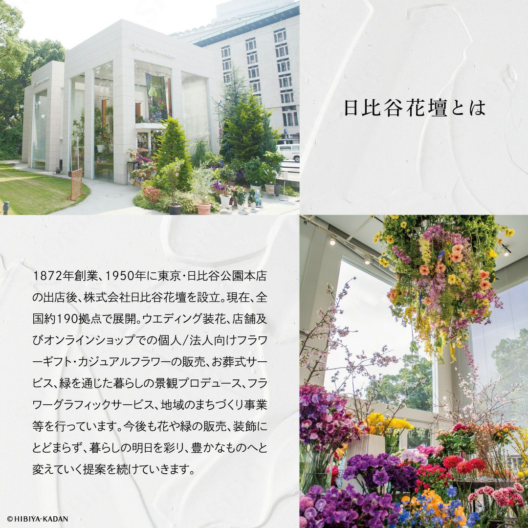 Meica 日比谷花壇コラボ ハンドクリーム＆ネイルオイル ＜セレニティ＆ジョイフルブーケ/オーラ＆エンブレイスブーケ＞ メイカ 粧美堂 shobido